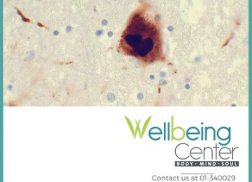 Research Links Gut Health to Neurodegeneration