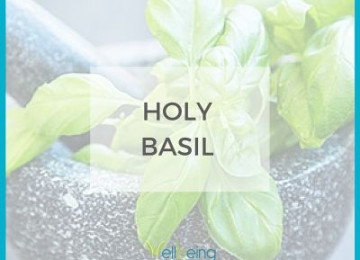 About Holy Basil