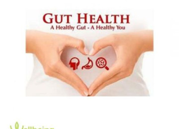 Gut Health 