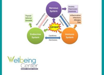 Stress, Pain and Immunity 