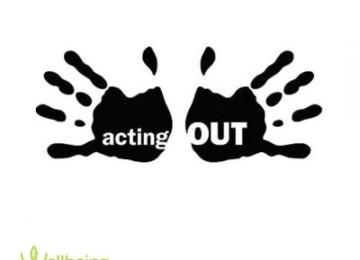 Dealing with a teenager acting out