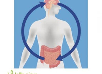 Can probiotics help treat depression and anxiety?