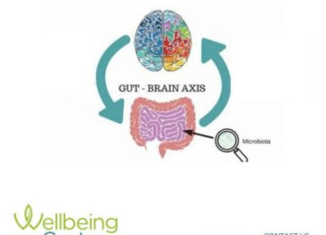 What is the gut-brain axis and how does it affect our mental health?