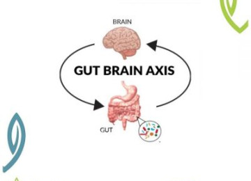 The gut-brain axis