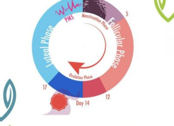 Menstrual cycle: What's normal, what's not!