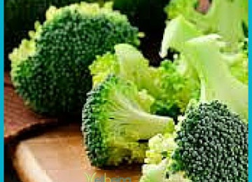 Broccoli Reduces Your Risk of Four Major Diseases