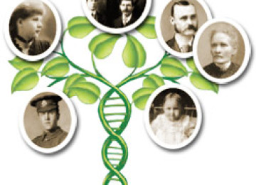 Reprogramming Your Genes