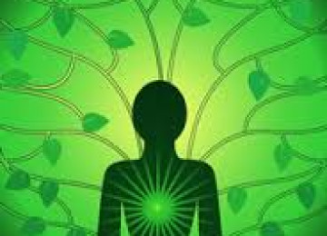 Your Heart Chakra this Valentine 