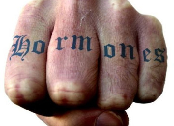 Your Appetite, Your Weight & Your Hormones