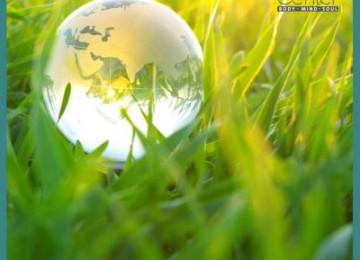 CORONAVIRUS IS HAVING A MAJOR IMPACT ON THE ENVIRONMENT, WITH REDUCED CO2, BETTER AIR QUALITY AND CLEANER WATER