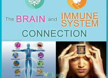 HOW OUR EMOTIONS INFLUENCE OUR IMMUNE SYSTEM