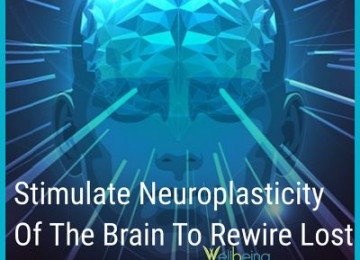 Stimulate Neuroplasticity Of The Brain To Rewire Lost Connections   