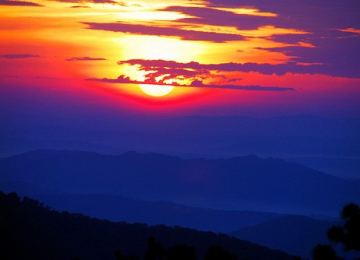 Daily Mantras/Affirmations to Program Your Mind