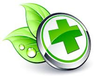 Phytotherapy, a Gentle Approach to Healing