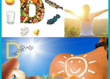 The Importance  of Vitamin D