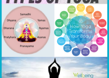 Ashtanga Yoga or Raja yoga is the science of physical and mental control.