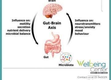 Stress Changes the Effect of Healthy Diet 